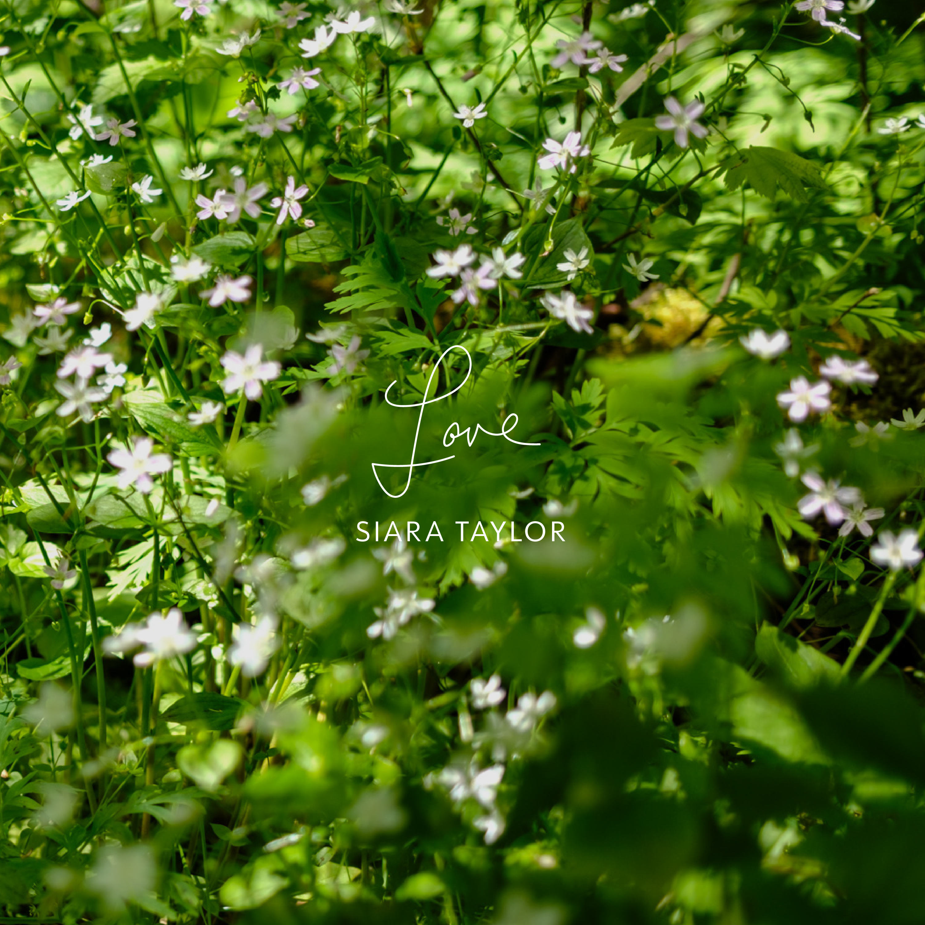 Love Single album artwork.