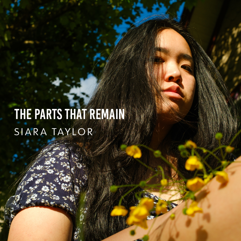 The Parts That Remain album artwork.